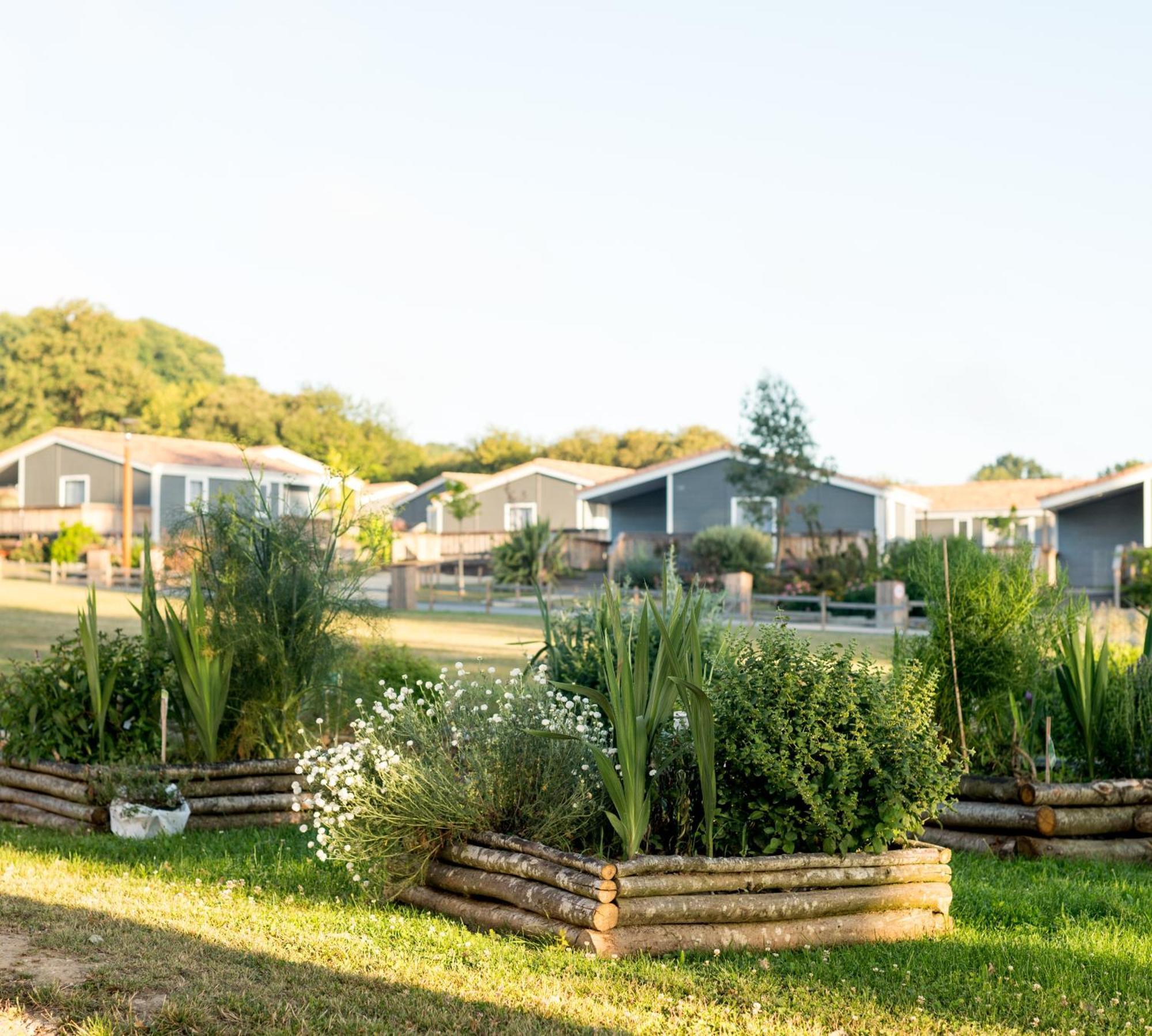 Domaine Melusine - A 2Km Du Puy Dufou France ! Hotel Les Épesses Buitenkant foto